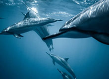 开云体育：开启运动新体验，引领健康生活风潮