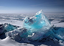 乐鱼体育app：引领你的专属体育新体验